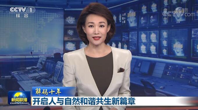 OwenTV项目:自用电视广播直播接口