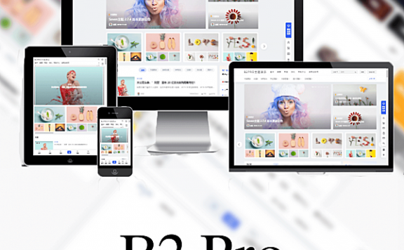 WordPress 高级商用主题：B2 PRO：功能和美观不用再二选一，你想要的我们都有！