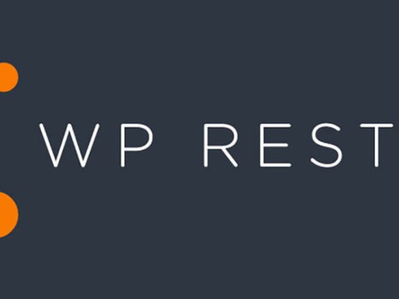 WordPress REST API入门基础知识点