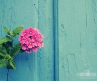 生活小常识:8个超实用的生活小妙招与技巧经验