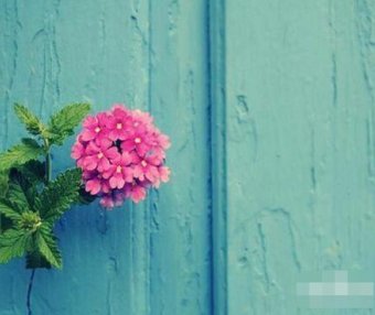 生活小常识:8个超实用的生活小妙招与技巧经验