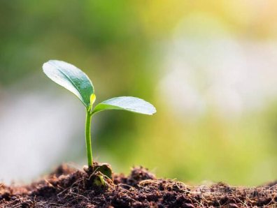 发芽 | 做自媒体短视频的初心