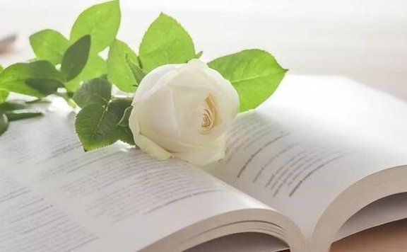 哲思｜认真生活，是一个人最了不起的才华