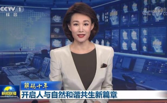 OwenTV项目：自用电视广播直播接口