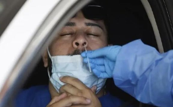 新冠变异株JN.1全球加速蔓延，学者预测或将成优势流行株！