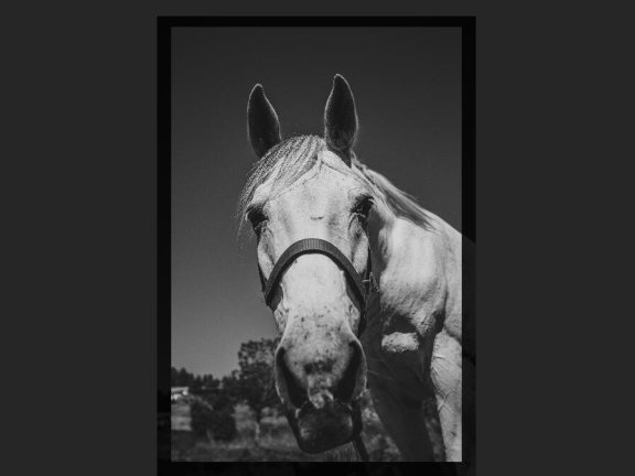 wordpress插件:用meow Lightbox对图片放大浏览(wordpress 6.2)